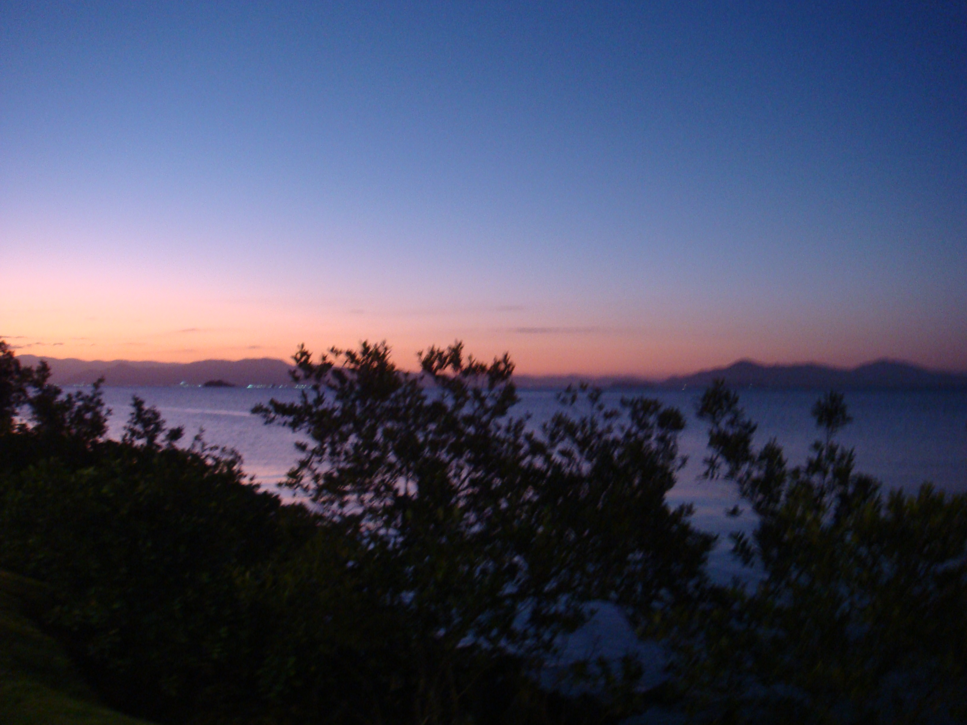 imagem de uma paisagem no crepúsculo, na beira do mar, com vegetação na parte inferior.