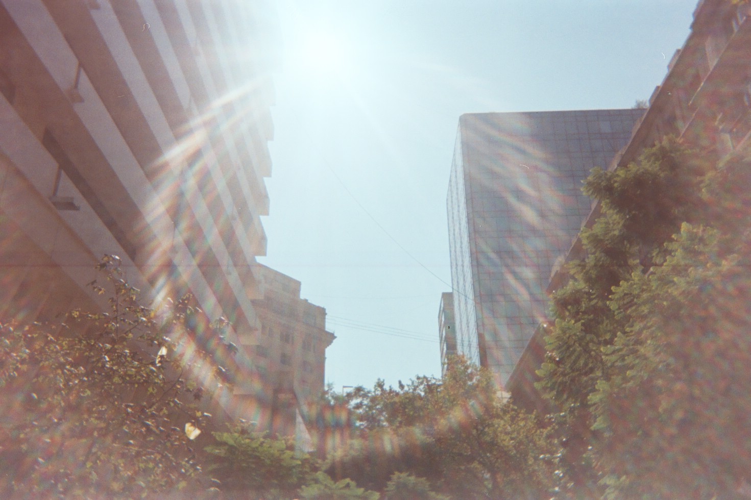 imagem analógica digitalizada do céu azul com o brilho do sol em flare, prédios e folhagem de árvores.